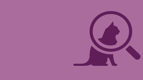 Фиолетовый значок увеличительного стекла и кошки
