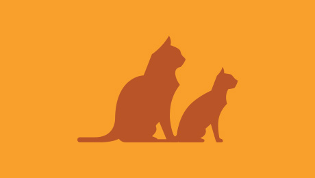 Two cats sitting together icon