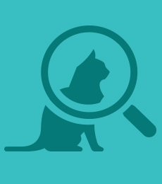 Blue cat magnifying glass icon