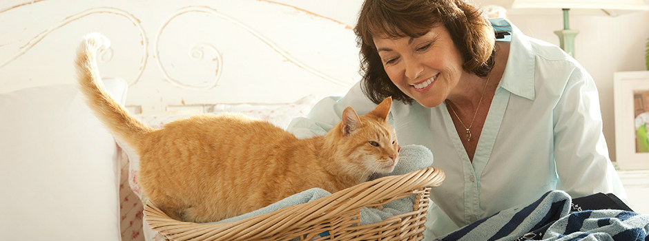 Ginger cat in basket next to owner