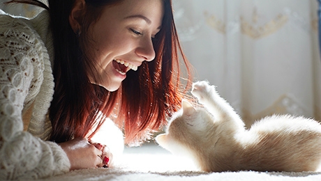 White kitten playing with owner