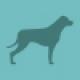 Green dog inspection icon